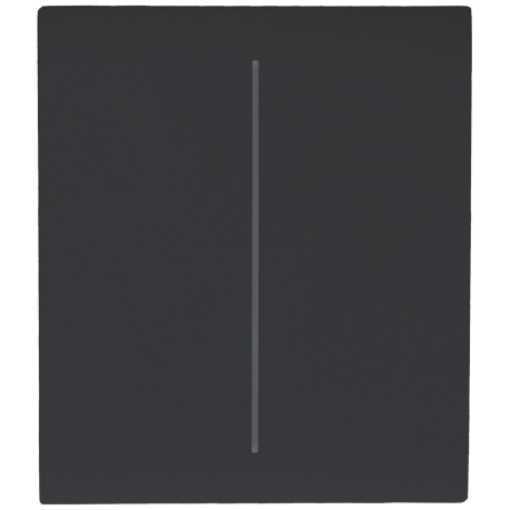 Panel de interruptor central doble