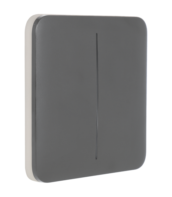 Panel de interruptor doble AJAX