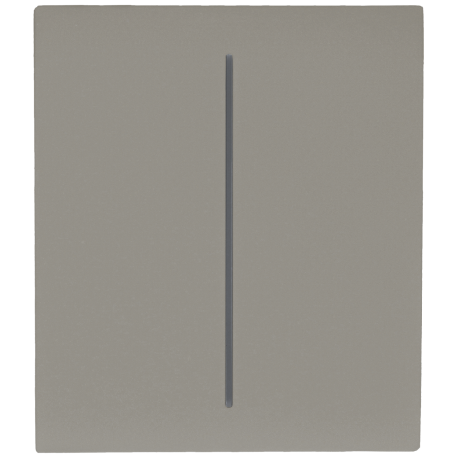 Panel de interruptor central doble