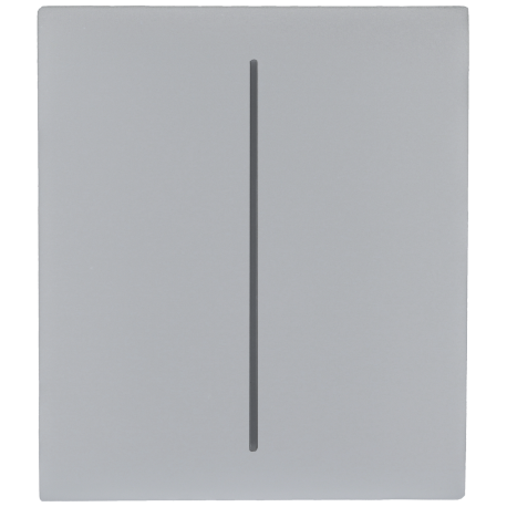 Panel de interruptor central doble