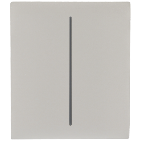 Panel de interruptor central doble