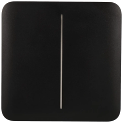 Panel de interruptor doble AJAX