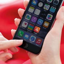 Software control de presencia para 250 usuarios